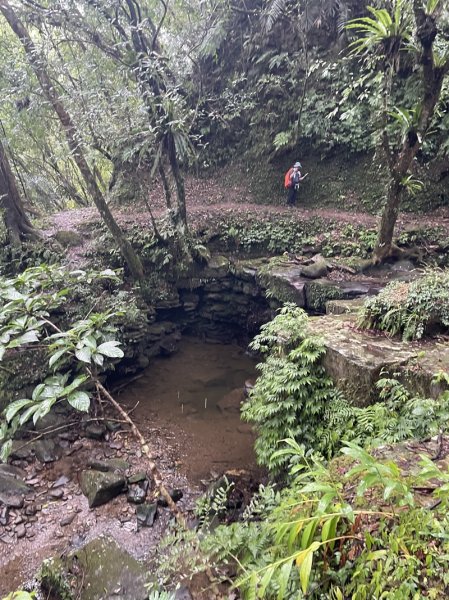 南北豹子廚山2925454