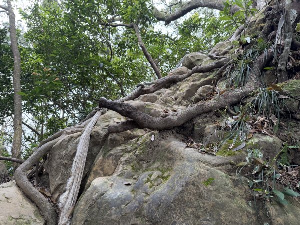 [微笑山線_第四段] 2026_0321 天上山系_十八羅漢岩3022124