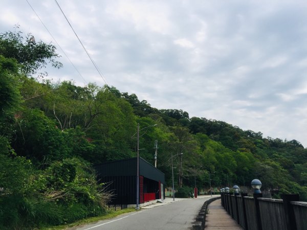 大坑6.7.10號565789