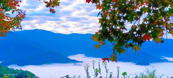 二訪馬拉邦山，解鎖 #琉璃光雲海 #日出雲海  #血月 #斜射光 #楓葉紅了！2668655