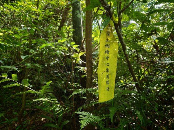[淡蘭古道] 2026_0524 南路第四段_四堵古道(上)-山林崙3069869