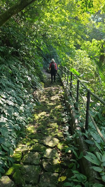 2025-0130溪和宮-大崎頭步道-鵝尾山-平溪步道-鵝尾山水田-42巷-溪山百年古圳-平菁步道2701961