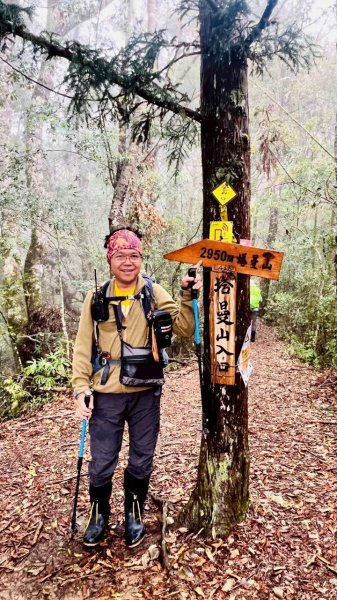 🌈4/13（日）（三）魔法森林-塔曼山~FB：熊熊趴爬走🌈2761326