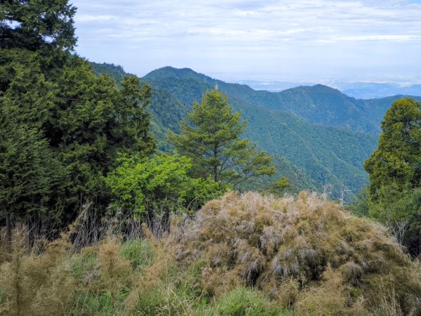 2026-05-23 小雪山防火巷、拾丸山南峰3062343