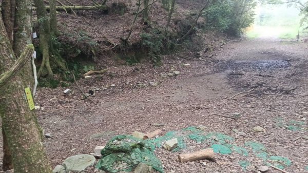 20251010 大雪山國家森林遊樂區 - 船型山林道 登 烏石坑山2911029