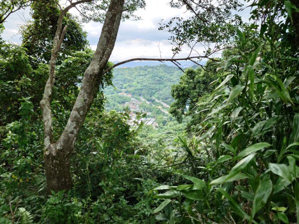 微笑山線之烘爐地任務2836471