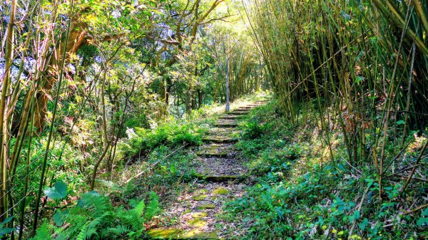 經營時間的早餐店2993558