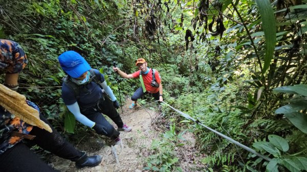 烏桶縱走(烏來山→大桶山)忠治出全紀錄2915211