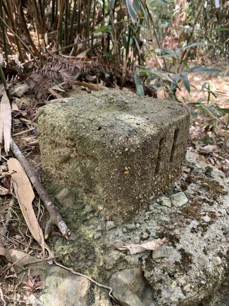 20260207南投雨後頭縱走2998117