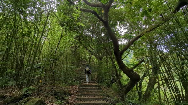 112.04.29走遍陽明山尋寶任務之坪頂古圳步道2137388