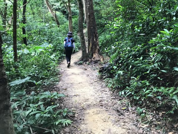 飛鳳山觀日坪連走中坑山388264