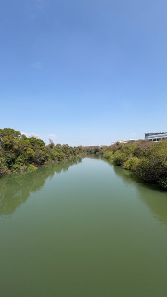 🚴‍♂️ 台南單車慢漫遊3003324