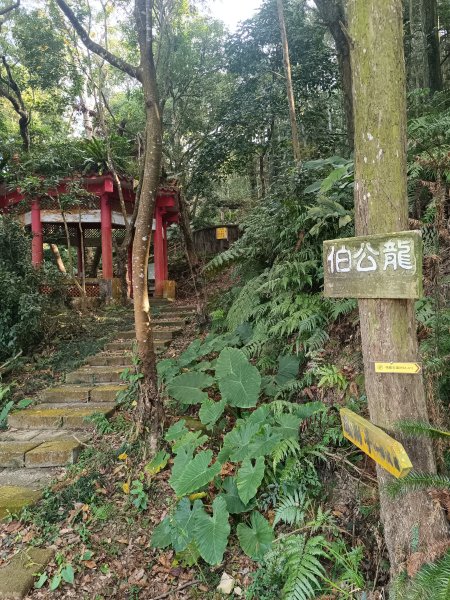 鳴鳳山古道2983680