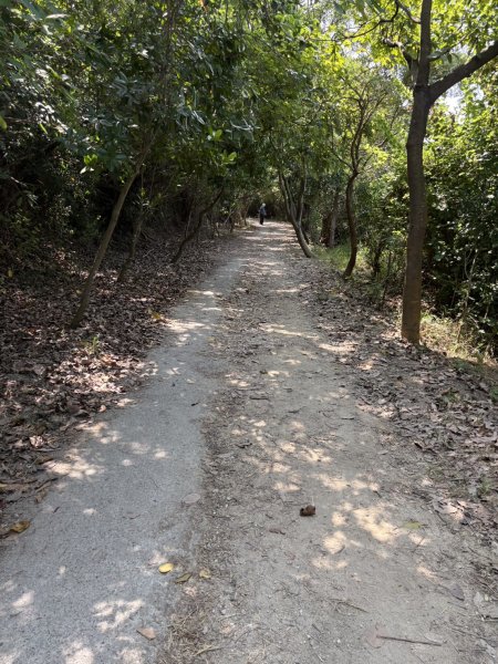 20251012高雄半屏山步道2915125