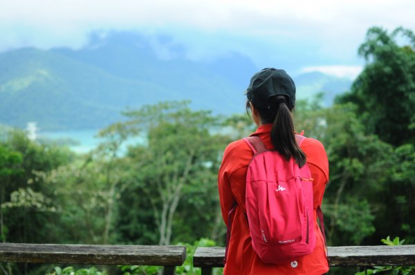 貓囒山真的有貓597049