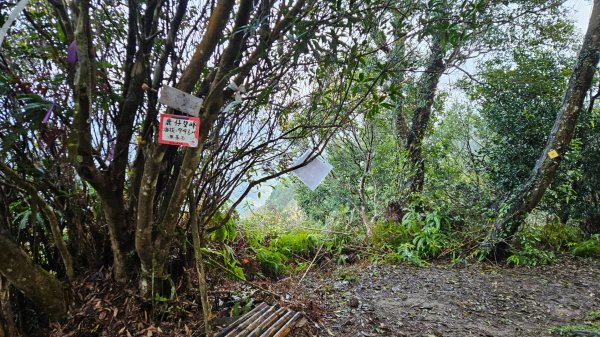 出關古道：十份崠段2700621