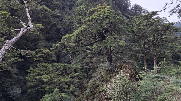 20251026合歡溪步道2926500