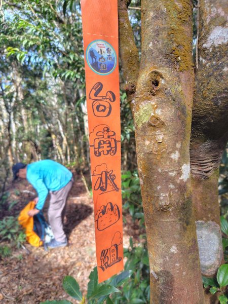 多納六秀 京大山2957600