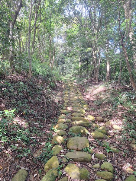 三義挑炭古道(三通嶺古道)11508233115414