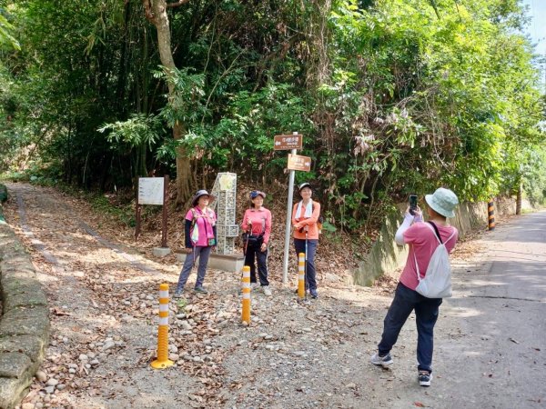 虎山岩區4條大嶺巷步道十二分埔山O繞逍遙輕鬆行3064032