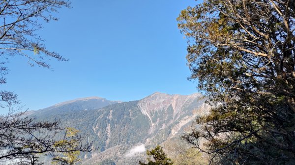 塔關山1633205