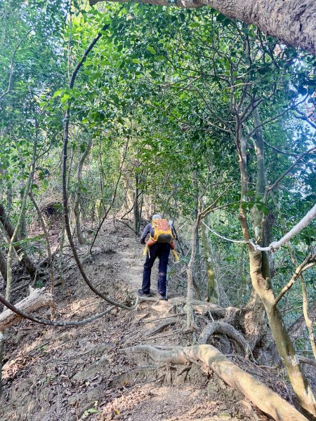 16年後重逢糖子恩山   2026.3.253026314