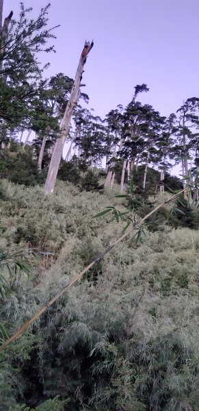 白姑大山之旅743536