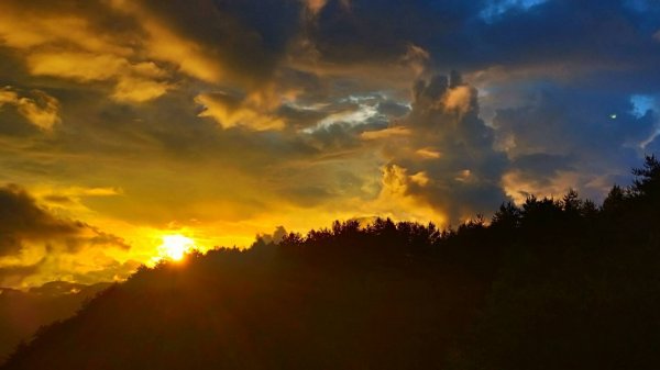 【阿里山私房景點】塔塔加夕陽下的彩霞691636