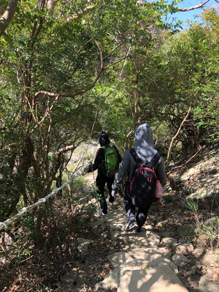 2020.03.08里龍山878272