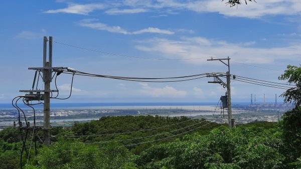 《台中》綠蔭夏蟬｜大肚環保公園登山步道O型202206261745199