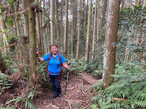 鵝公髻山（小百岳）鵝公髻山東北峰2449860