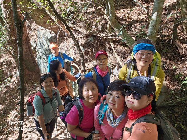 【谷關七雄】波津加(H1771.6m)肉腳配速成功2670419