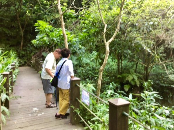 2019-08-10富陽公園、福州山656087