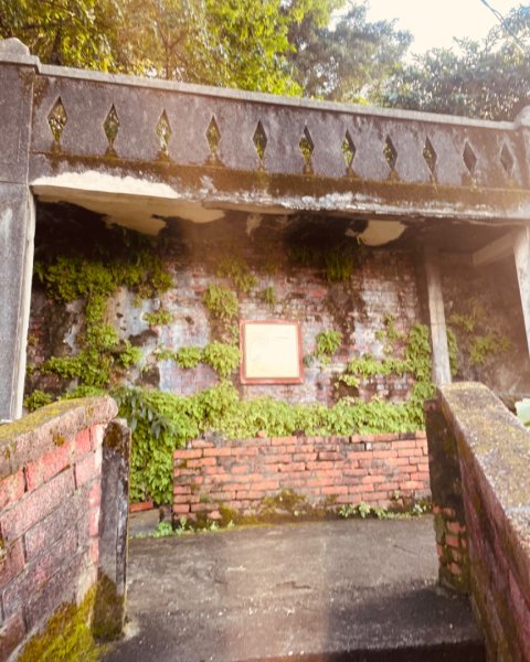 基隆尋找7隻傘人家族2712724