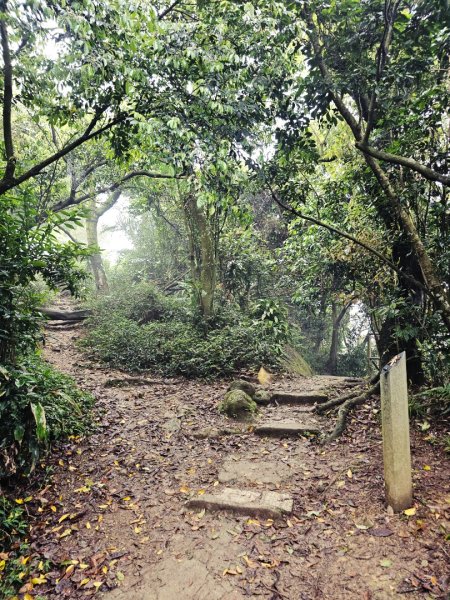 2026年臺北大縱走第六段：中華科技大學至捷運麟光站3026034