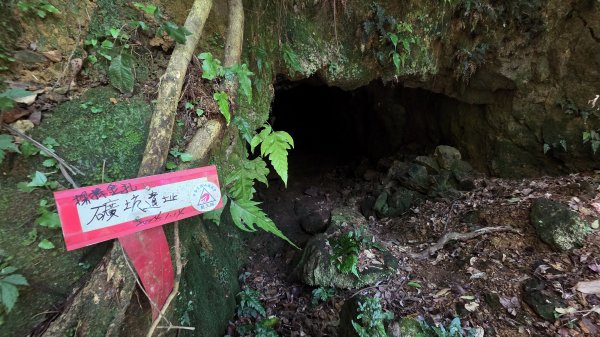 新北近郊小而美的賞景好路線野柳駱駝峰玉田古道O型2897892