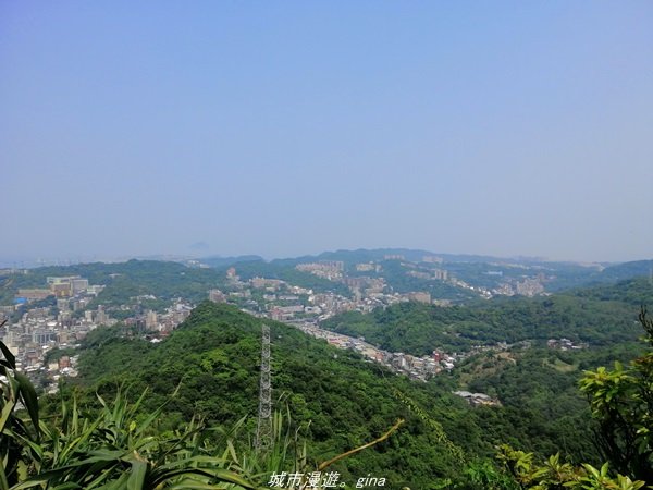 【基隆。仁愛】小百岳集起來。編號7小百岳~紅淡山步道1346389