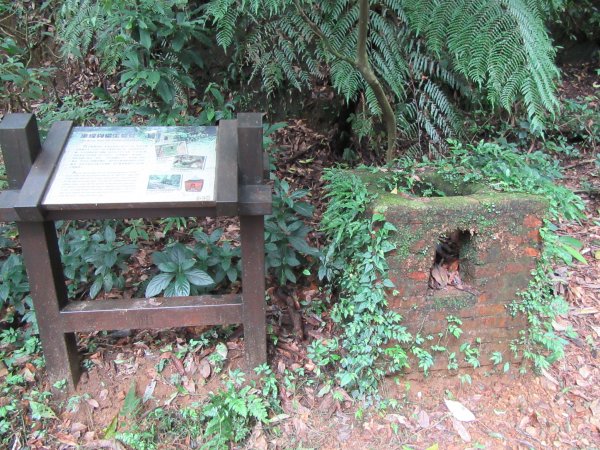 20201002-魚路古道北段1116764