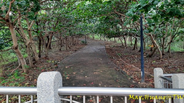 《台中》雙園連走｜東大公園連走都會公園202310072306017