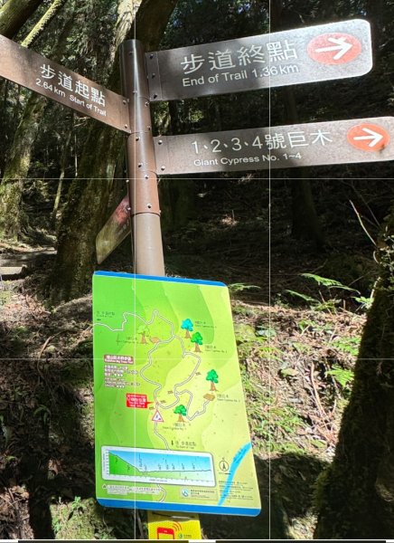 觀霧-檜山巨木群步道2925587