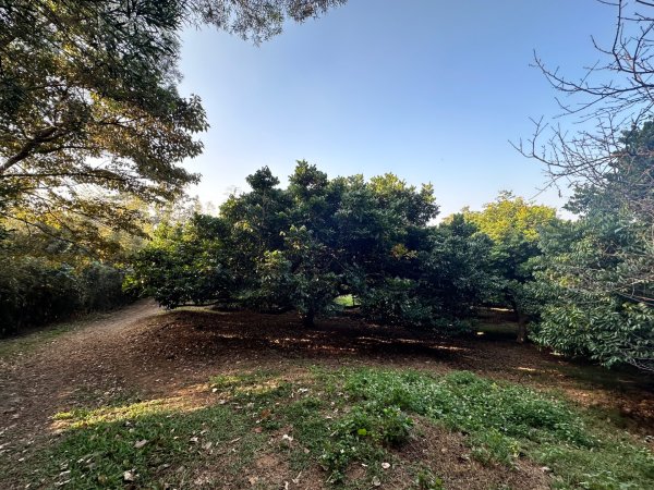 苗栗頭屋-墨硯山步道2613668