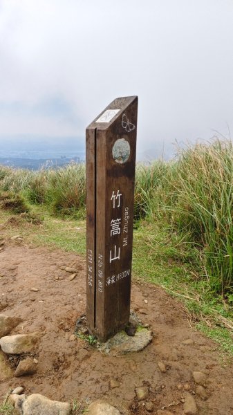 陽明山輕鬆走2991981