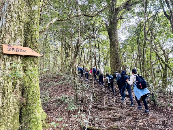 年輕人爬山趣～塔曼山 2/11 20232039664