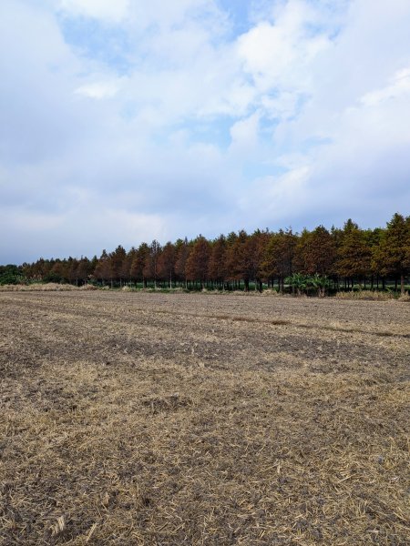 農禪寺,普濟寺2407044