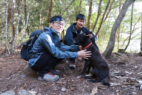 2020-12-12 八仙山1216315