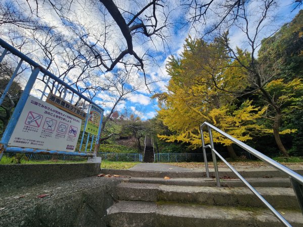 20251129鷹取山神武寺山2963960