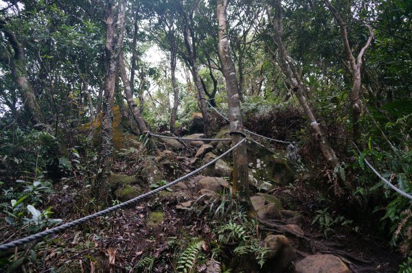 二格山登山步道1911668