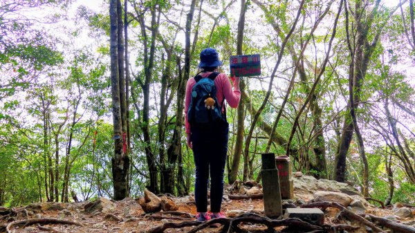 油羅山(一上三下)2959162