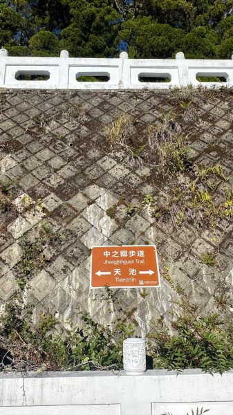 南橫三星2977983
