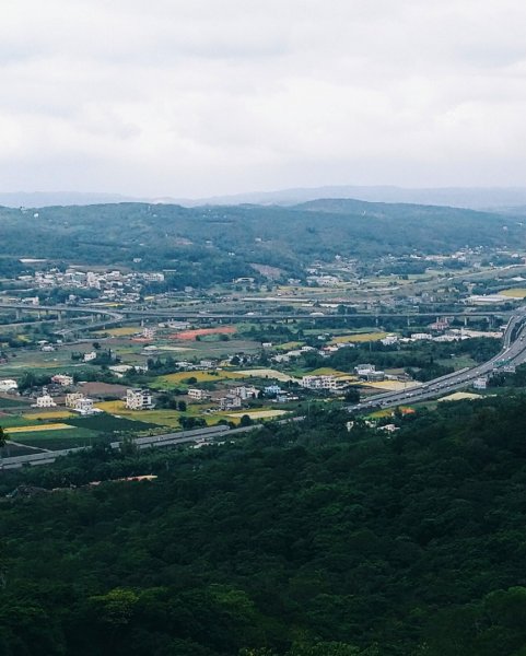 賞杭菊～三員縱走1165612